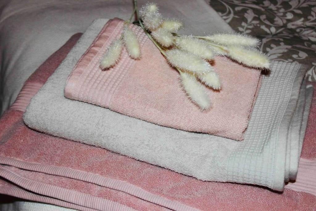 Apartamento El Picu Collanzo Dış mekan fotoğraf