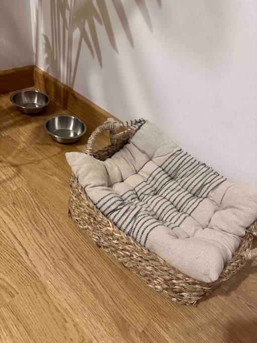 Apartamento El Picu Collanzo Dış mekan fotoğraf
