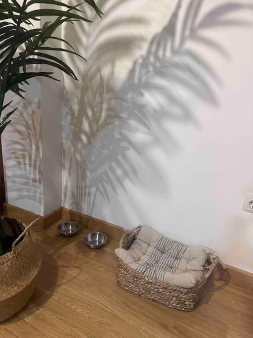 Apartamento El Picu Collanzo Dış mekan fotoğraf